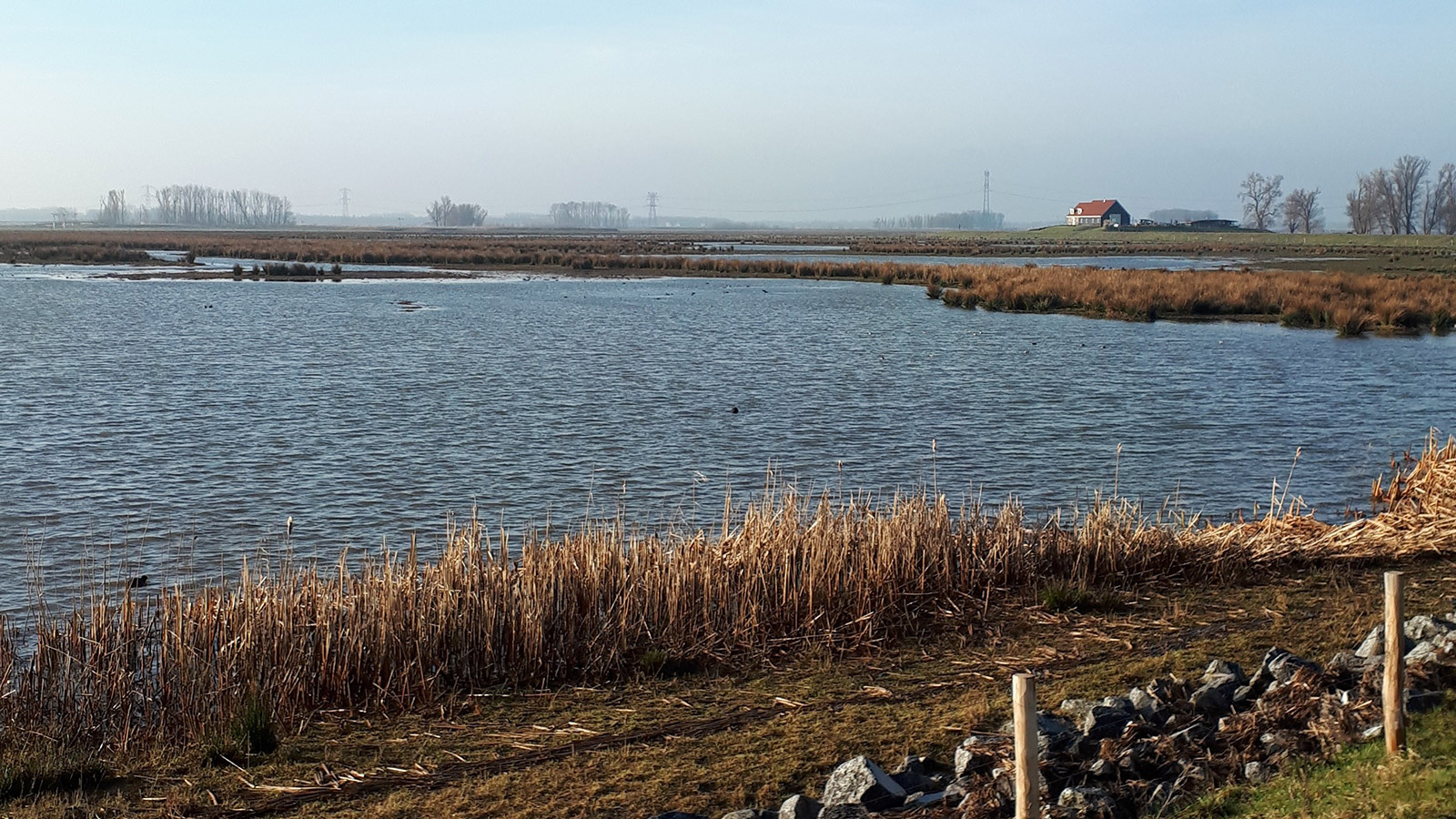 Featured image for “Beheercontracten voor natuurbeheer in polder de Noordwaard”